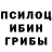 Галлюциногенные грибы Magic Shrooms ahtytak