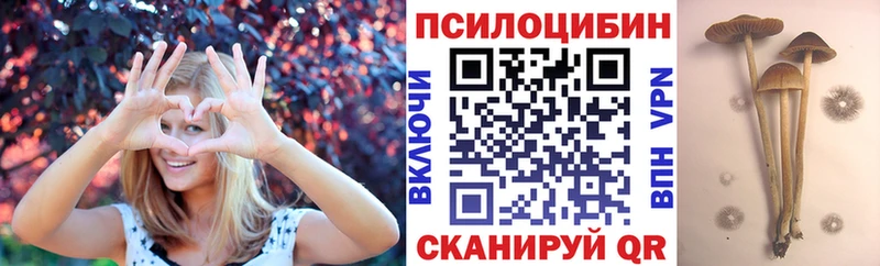 Галлюциногенные грибы мицелий  Нязепетровск 